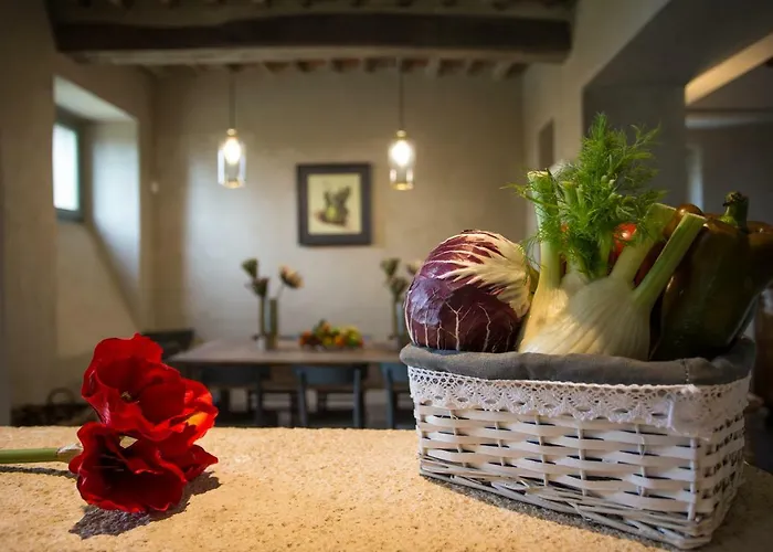 La Cotogna 马焦内